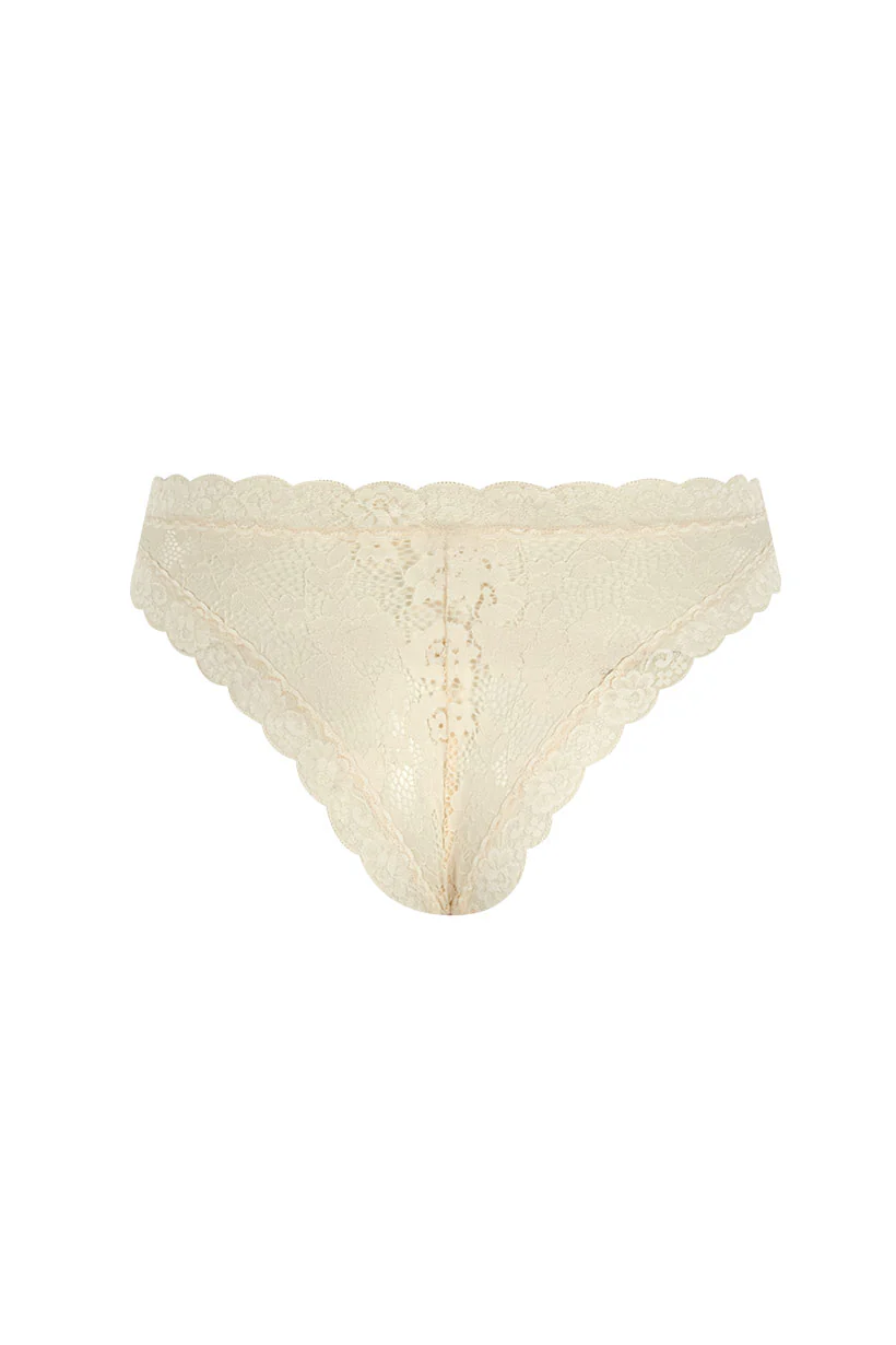 Lovers Lace Brief - Image 4